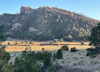 0 Box S Ranch Lots 5a and 5b Unit 1083873, Ramah, NM 87321