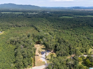 668 Jones Chapel Rd, Piedmont, AL 36272