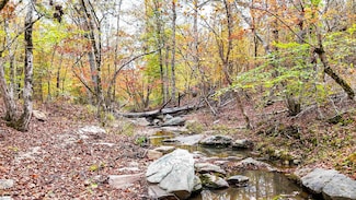 0 Sulpher Springs Rd, Waterloo, SC 29384