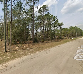 TBD SW 138th St, Ocala, FL 34473