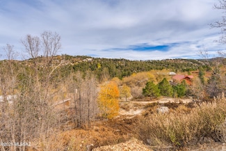 11133 E Miami St Unit 17, Mt. Lemmon, AZ 85619