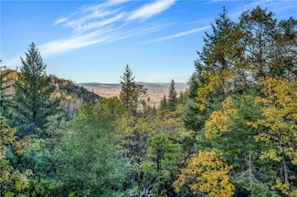12375 Dry Creek Rd, Middletown, CA 95461