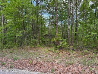 0 Slaven Ridge Rd Unit 1299497, Jamestown, TN 38556