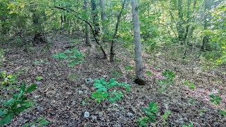 Lot 5 Silvercliff Way, Branson West, MO 65737