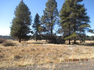 0 Longhorn Loop Unit 220192325, Chiloquin, OR 97624