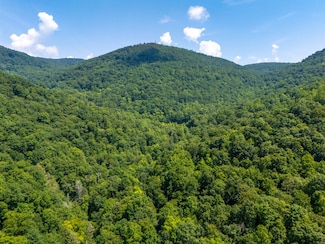 0 Mountain Rd, Caryville, TN 37714