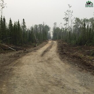nhn Elliott Hwy, Manley Springs, AK 99756
