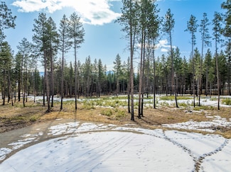 003 Janes Way, Hamilton, MT 59840