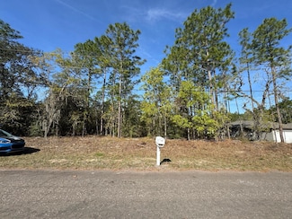 6948 N Lockwood Way, Citrus Springs, FL 34434