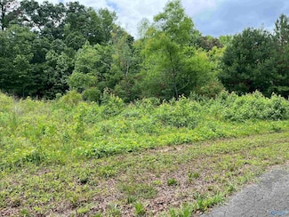 lot #14 Country Cove, Crossville, AL 35962