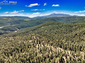 0 Unknown Unit 1294296, Woodland Park, CO 80863