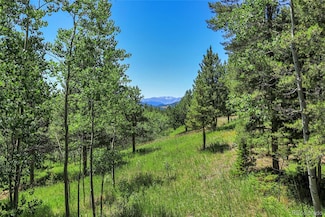 Block 2, Lot 24 Hughesville Rd, Black Hawk, CO 80422