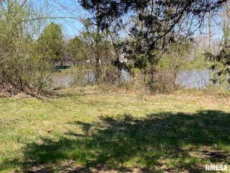 Lot 56 E Deer Lake Dr, Carbon Cliff, IL 62901