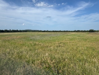 TBD Mitchell Hill Rd, Gordon, TX 76453