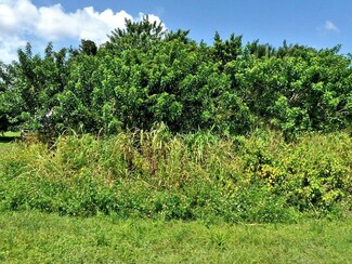 Tbd Grady Dr, Fort Pierce, FL 34946