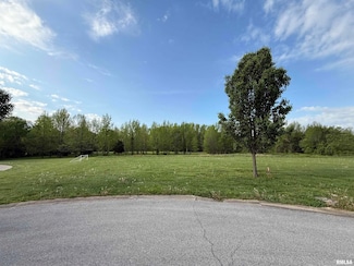 000 S Eugene Ln, Marion, IL 62959