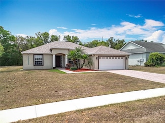 13546 Biscayne Grove Ln, Grand Island, FL 32735
