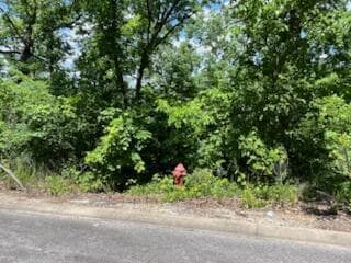 Lot 132a Skylee Dr, Hollister, MO 65672