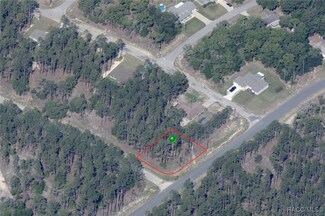11001 N Letterwood Way, Citrus Springs, FL 34433