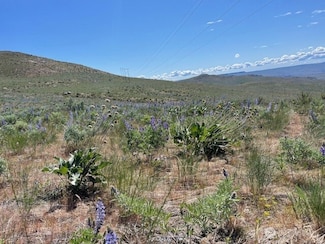 0 Lot 59 Bill Shaw Rd, Methow, WA 98834