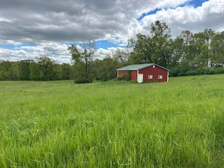 0 Half Moon Lake Rd Unit 23668713, Hillsdale, MI 49242