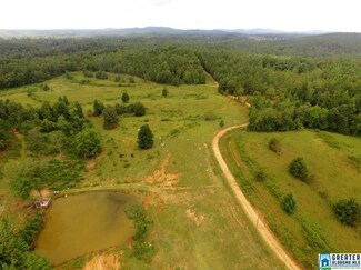796 Alawashky Rd Unit 46 acres, Ashland, AL 36251