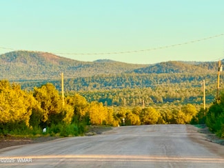 50 Blvd, Vernon, AZ 85940