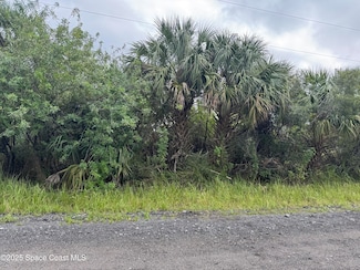 2117 Begonia Ave, Palm Bay, FL 32908