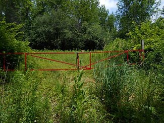 VL Davison Rd, Birdsall, NY 14006