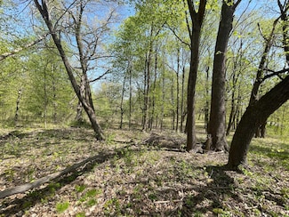 1xx Stark Rd, Harris, MN 55032