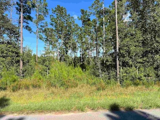 0002 Sage Forest Ln, Milton, FL 32571