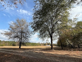 Sc Hwy 39 Unit LotWP001, Williston, SC 29853