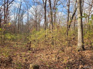 0 Beach Cir, Moscow Mills, MO 63362