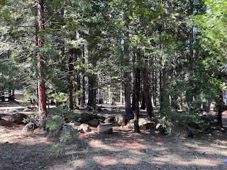 619 Clifford Trail, Lake Almanor Country Club, CA 96137
