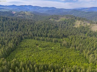 0 Shotgun Creek Rd, Marcola, OR 97454