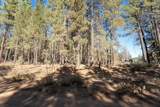 850 2nd St, Portola, CA 96122