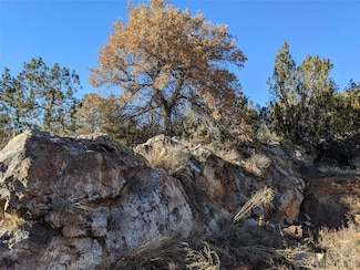 626 County Road B36, Ribera, NM 87560