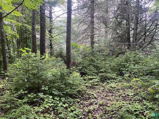 000 Jones Rd, Washburn, WI 54891