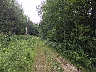 0 Fifield Dr, Lempster, NH 03605