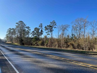 R006032420 U S Highway 96 N, Pineland, TX 75968