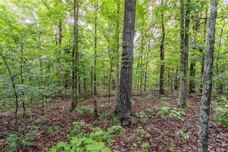 00 Red Fox Rd, Hardy, AR 72542