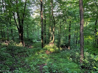 0 County Road 132, Killbuck, OH 43844