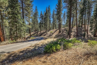 10720 Bert Rd, Truckee, CA 96161