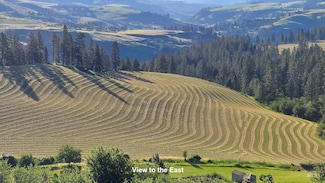 TBD Arabian Lane Lots 2 4 5, Lenore, ID 83541