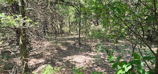 Rs County Road 1450, Point, TX 75472