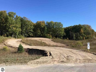 10777 Wilson Rd, Buckley, MI 49620