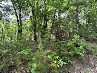 Lot 31 Peak Trail, Murphy, NC 28906