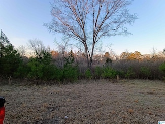 00 Comerdale Rd, Sylacauga, AL 35150