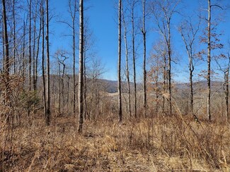 T3 Choctaw Dr, Jamestown, TN 38556