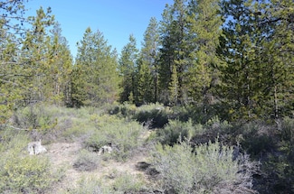 0 Forest Service Rd Unit 220203697, Gilchrist, OR 97737